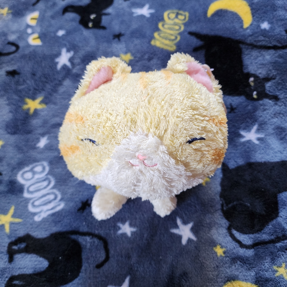 Adorable Cream and White Stuffed Cat Toy